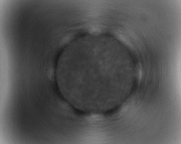X0000092090619200709262124