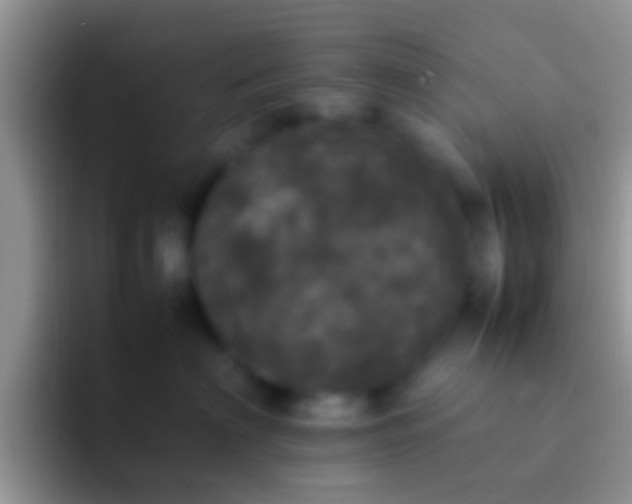 X0000092090622200709262124