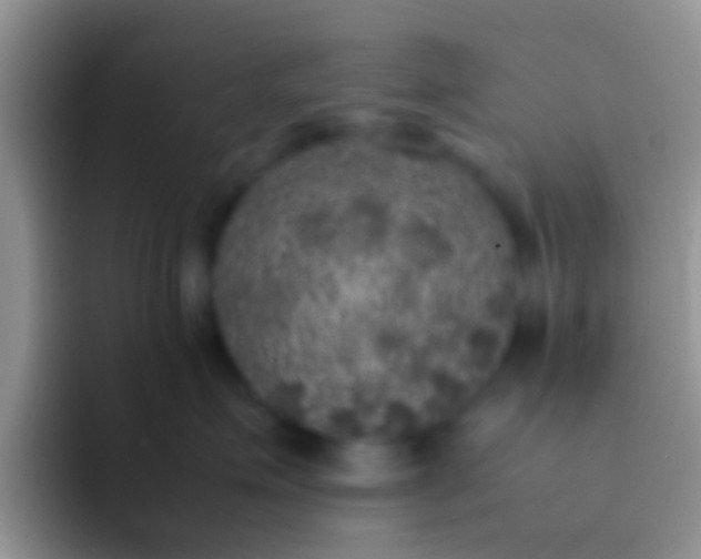 X0000092090623200709262124
