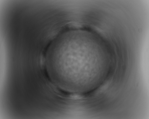 X0000092090624200709262124