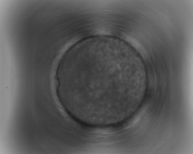X0000092090625200709262124