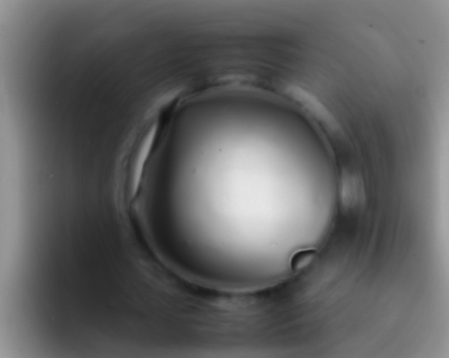 X0000092090627200709262124