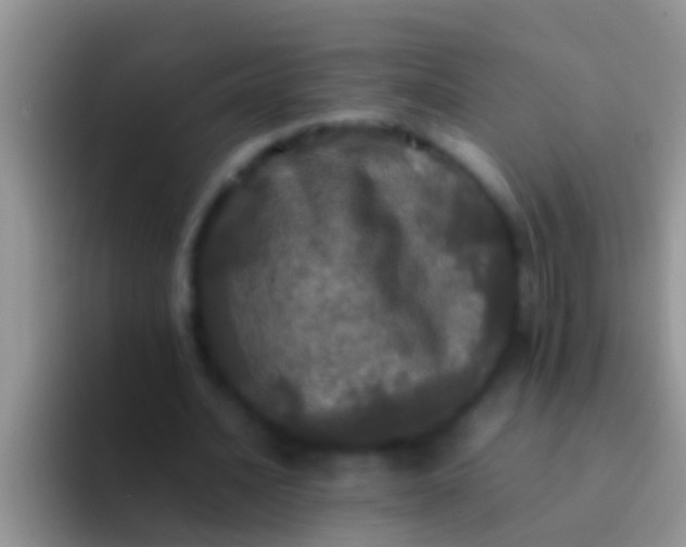 X0000092090628200709262124