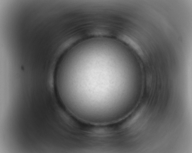 X0000092090629200709262124