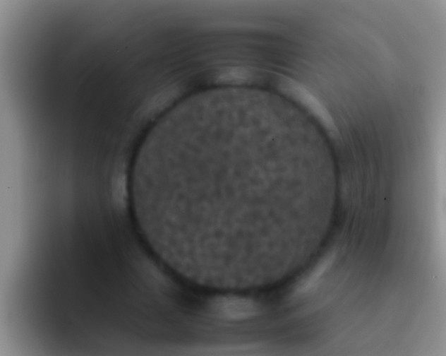X0000092090633200709262124
