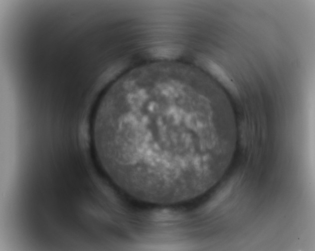 X0000092090634200709262124