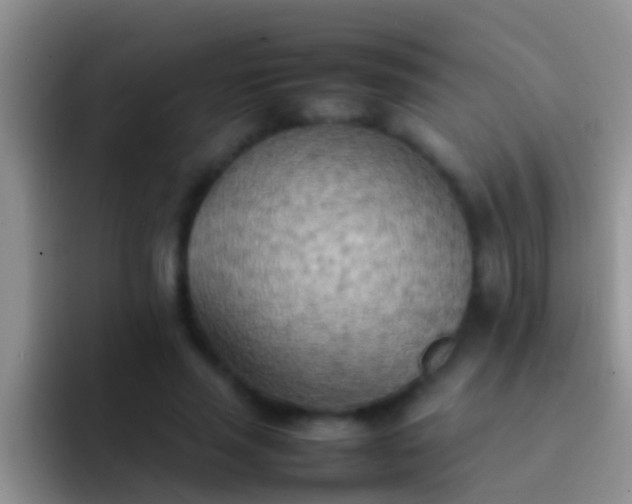X0000092090637200709262124