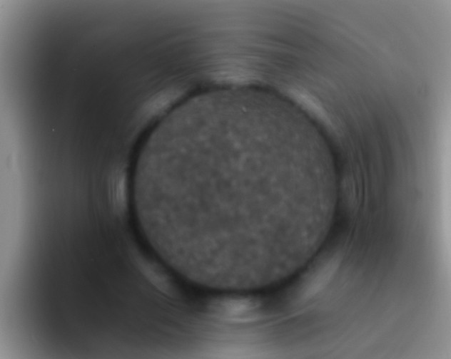 X0000092090638200709262124