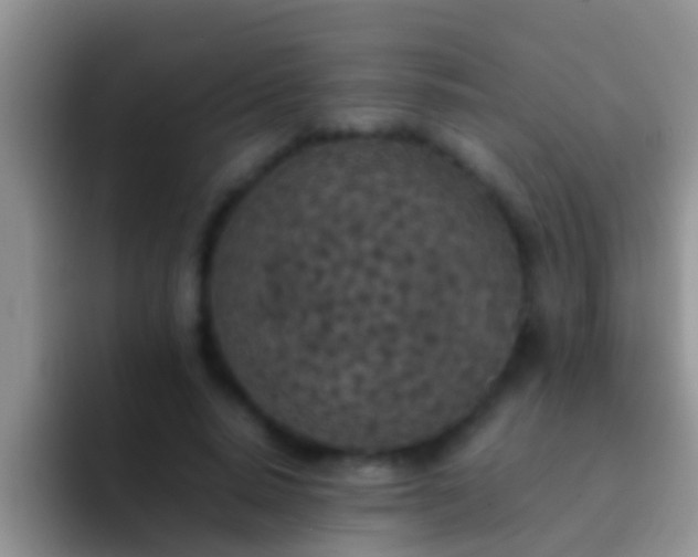 X0000092090640200709262124