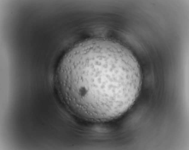 X0000092090641200709262124