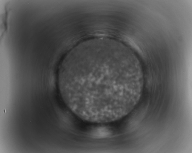 X0000092090643200709262124