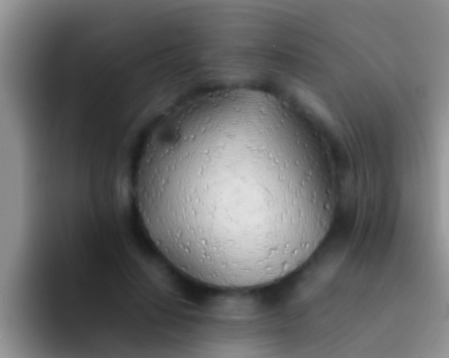 X0000092090644200709262124