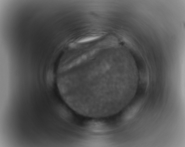 X0000092090648200709262124