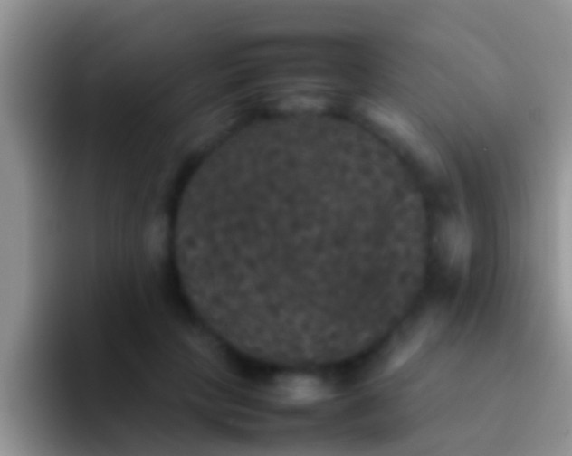 X0000092090649200709262124