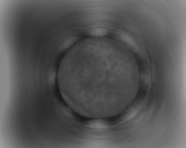 X0000092090652200709262124