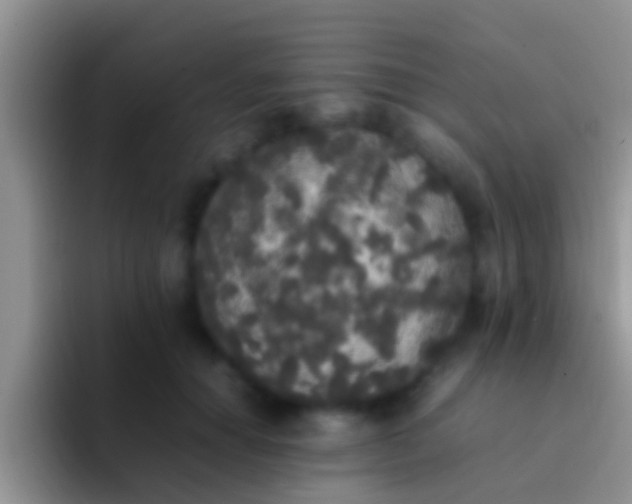 X0000092090654200709262124