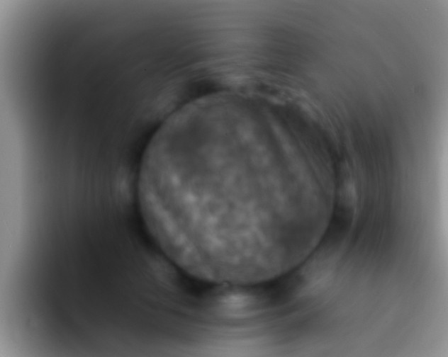 X0000092090658200709262124