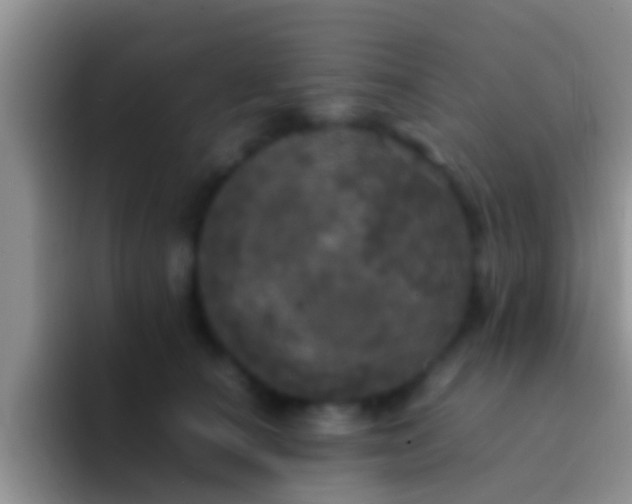 X0000092090660200709262124