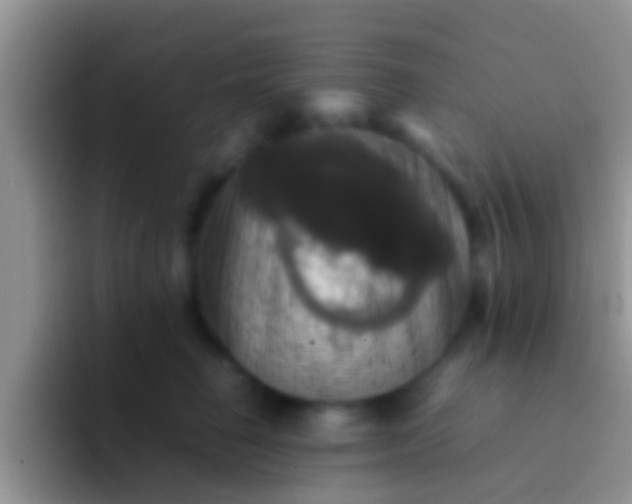 X0000092090662200709262124