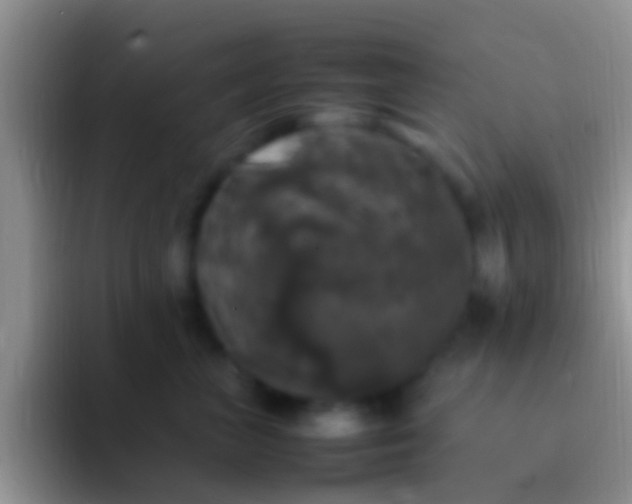 X0000092090667200709262124