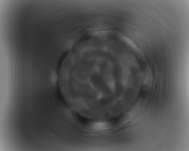 X0000092090669200709262124