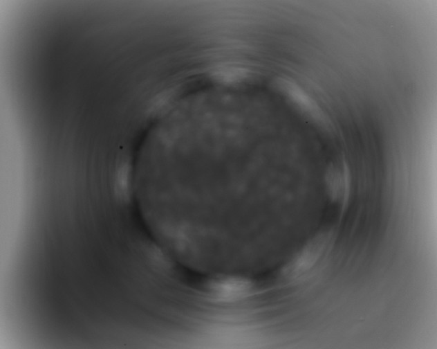 X0000092090670200709262124