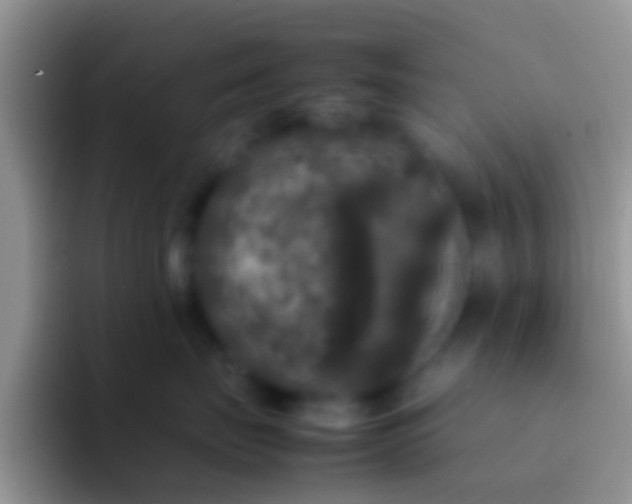 X0000092090671200709262124