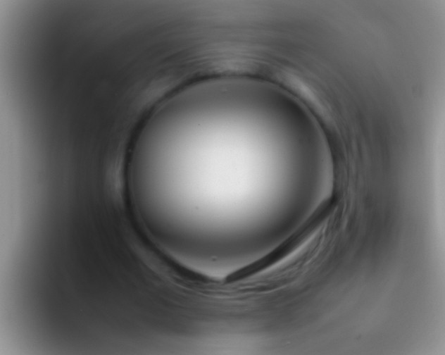 X0000092090677200709262123