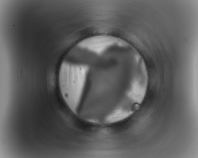 X0000092090683200709262123