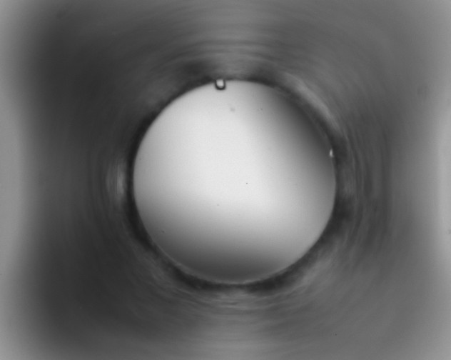 X0000092090685200709262123