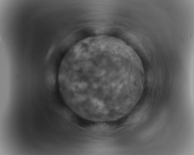 X0000092090691200709262123