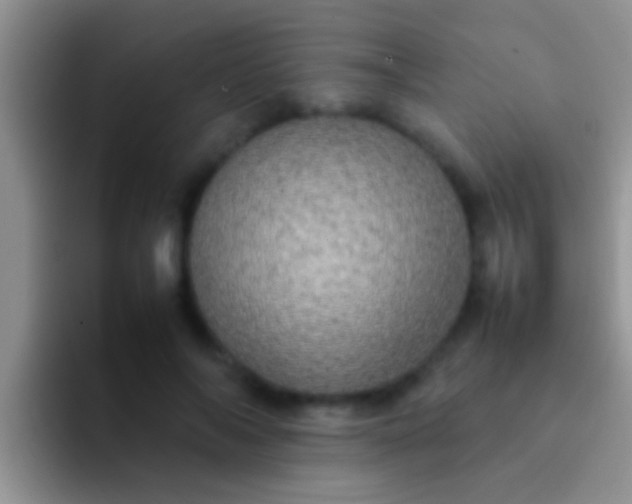 X0000092090694200709262123