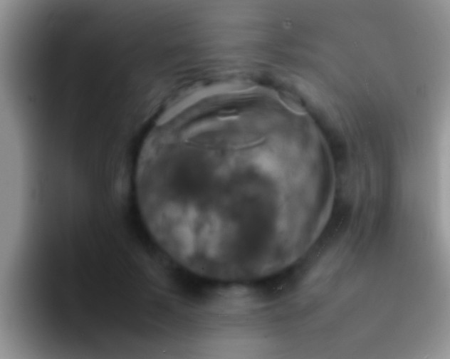 X0000092090695200709262123