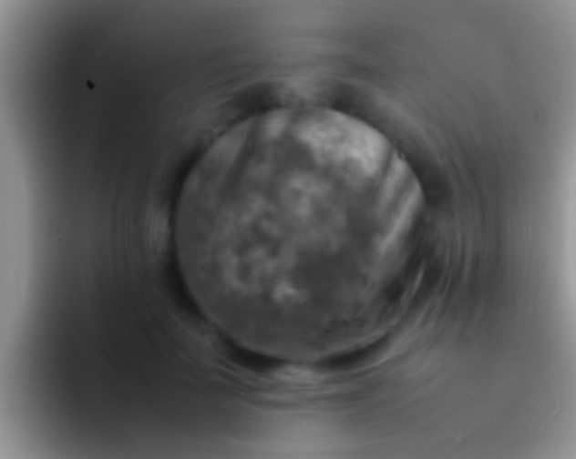 X0000092090699200709262123