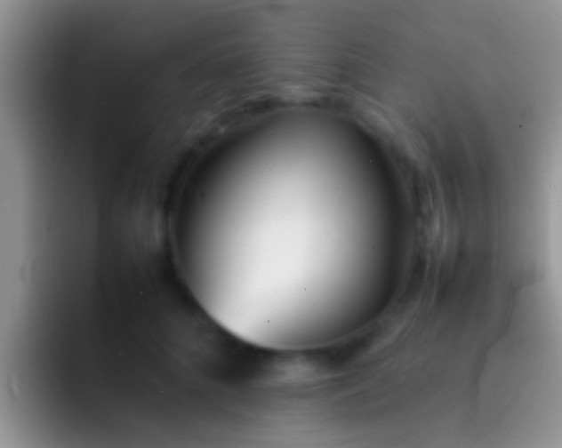 X0000092090704200709262123