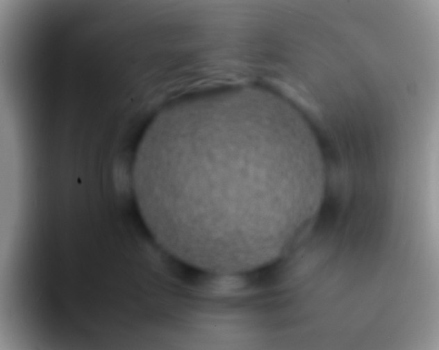 X0000092090719200709262123
