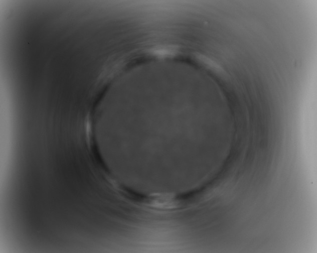 X0000092090720200709262123