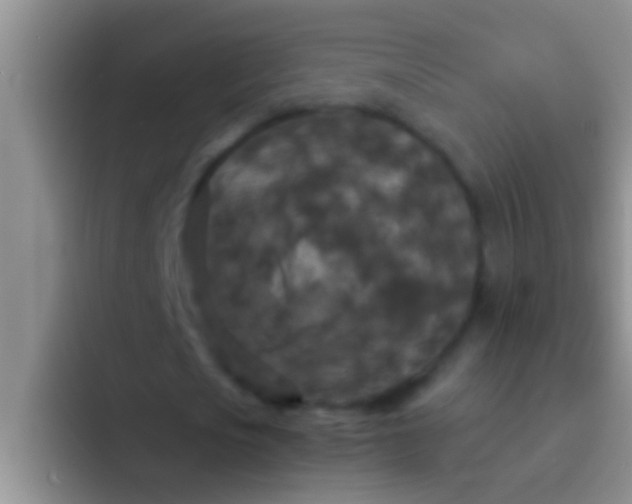 X0000092090721200709262122