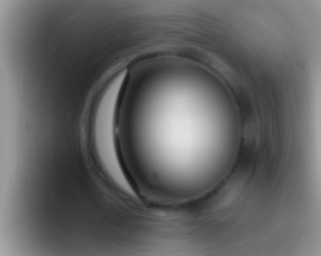 X0000092090722200709262122