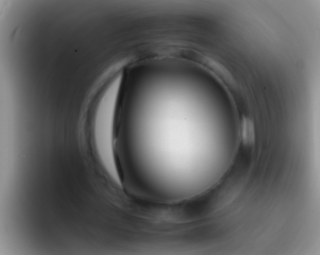 X0000092090723200709262122