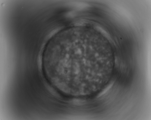 X0000092090725200709262122