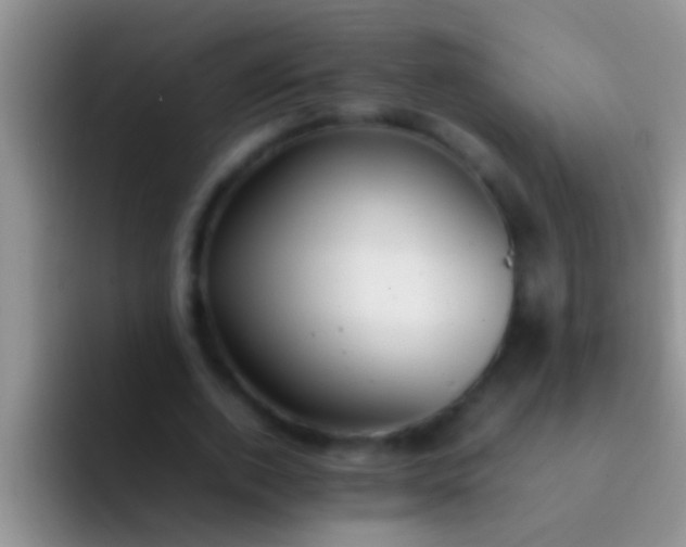 X0000092090728200709262122