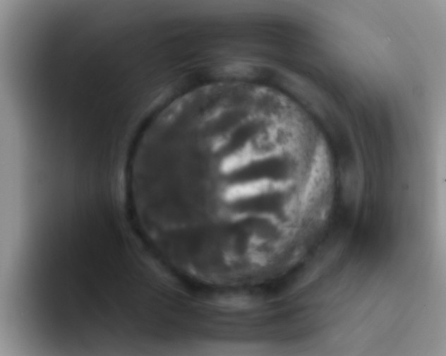 X0000092090729200709262122
