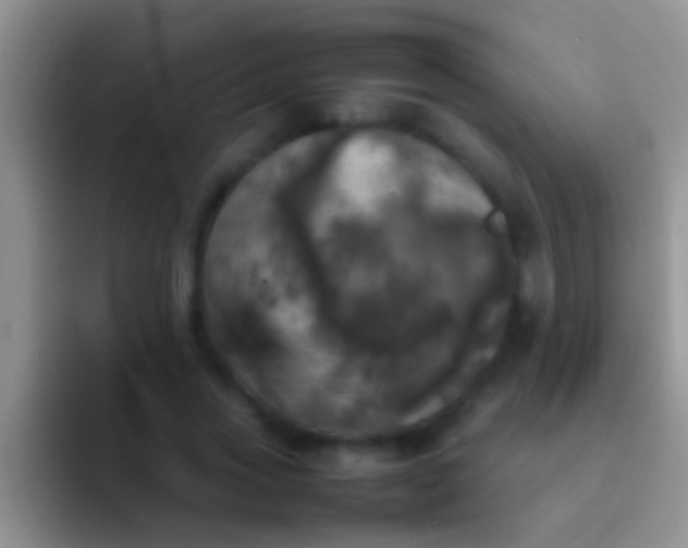 X0000092090733200709262123