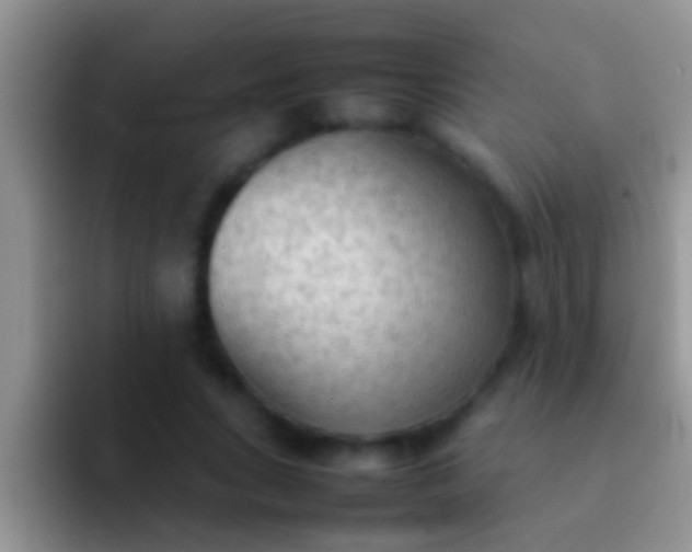 X0000092090735200709262123