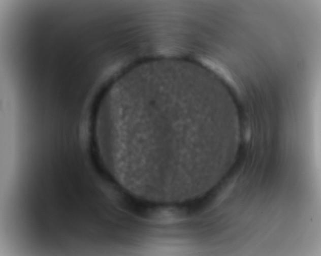 X0000092090736200709262123