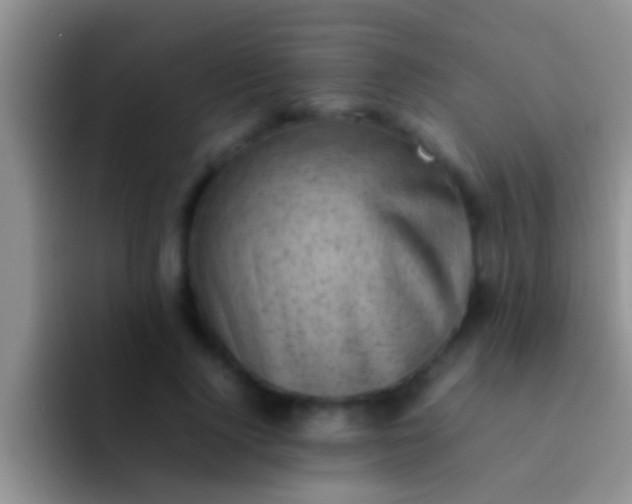 X0000092090740200709262123