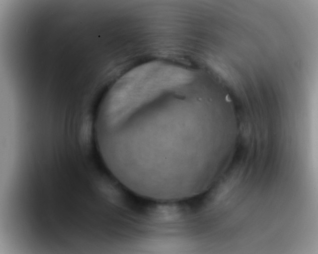 X0000092090744200709262123