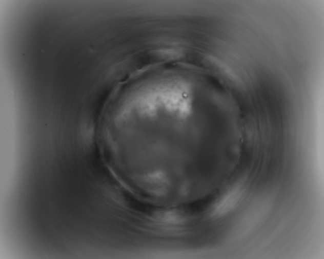 X0000092090745200709262123
