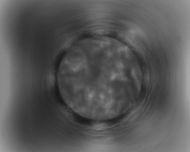 X0000092090746200709262123